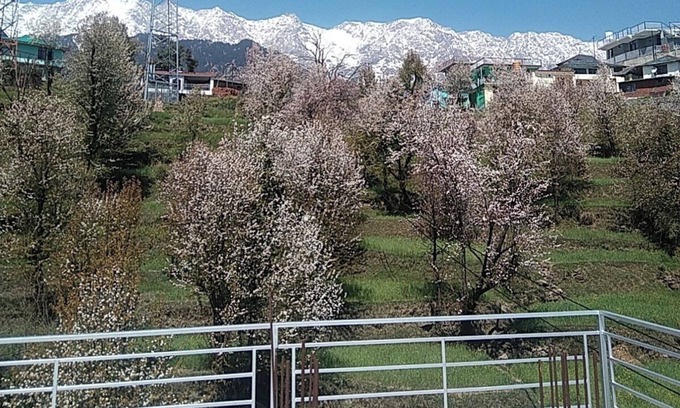 Naddi Bed & Breakfast | Tranquil Trails Naddi SunRise