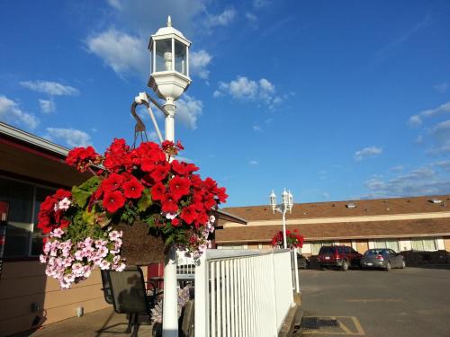 Dawson Creek Hotel | Traveller's Inn