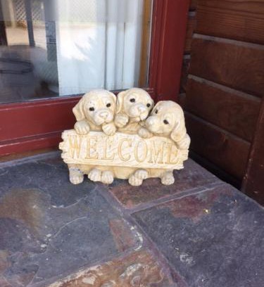 Christchurch Bed & Breakfast | Travellers Retreat B&B