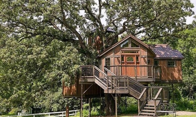 Cottage Grove House | Tree House Luxury Stay