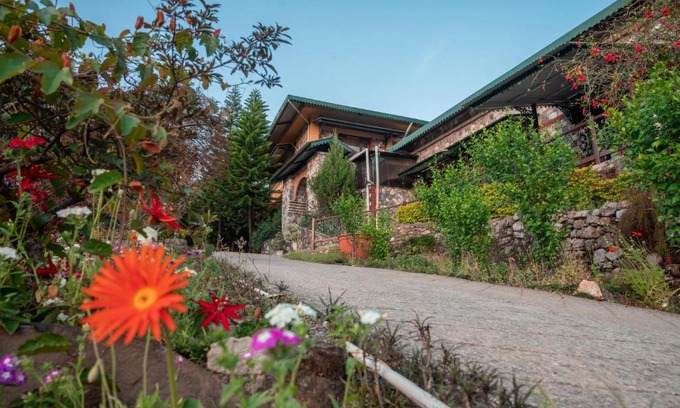 Bigha Resort | Tree of Life Resort Dehradun Foothills