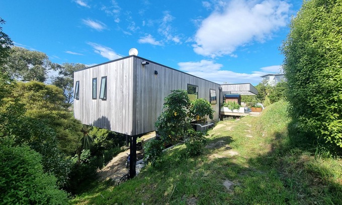 Dunedin House | Tree top and ocean views