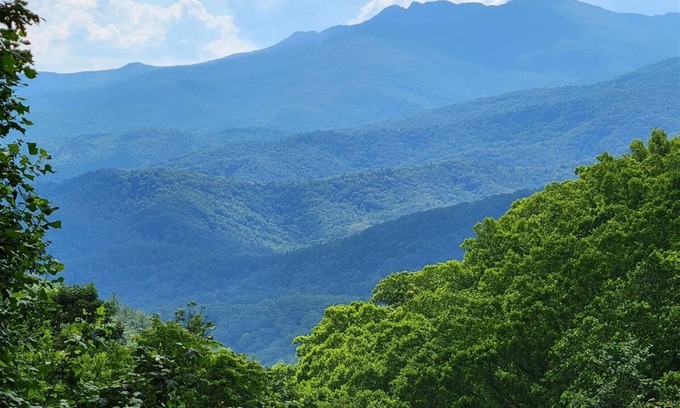 Apple Ridge House | Treehaven 2BR/2.5 BA Upscale Home near Blowing Rock