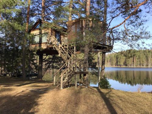 Priekuli Municipality House | Treehouse Čiekurs