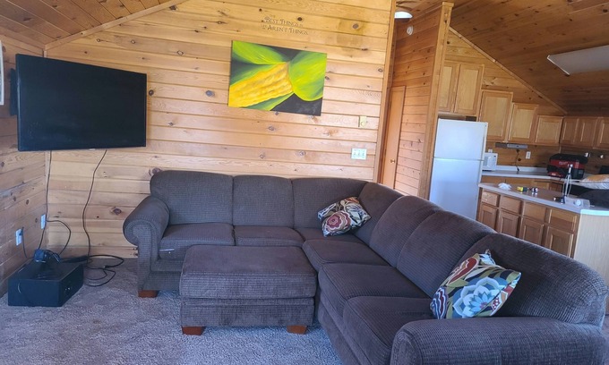 Caledonia Apartment | Treehouse Apartment