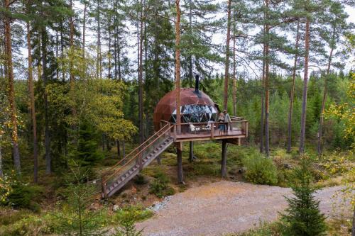 Rakkestad Other | Treehouse dome