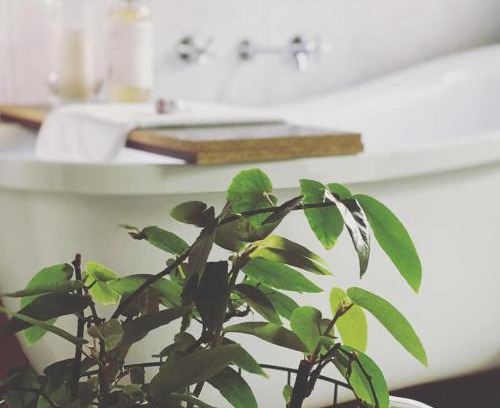 Echuca Apartment | Treehouse Hideouts - Ground Level - Heygarth House Townhouse - Port of Echuca