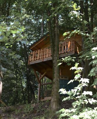 Velke Losiny Cabin | Treehouse Velké Losiny