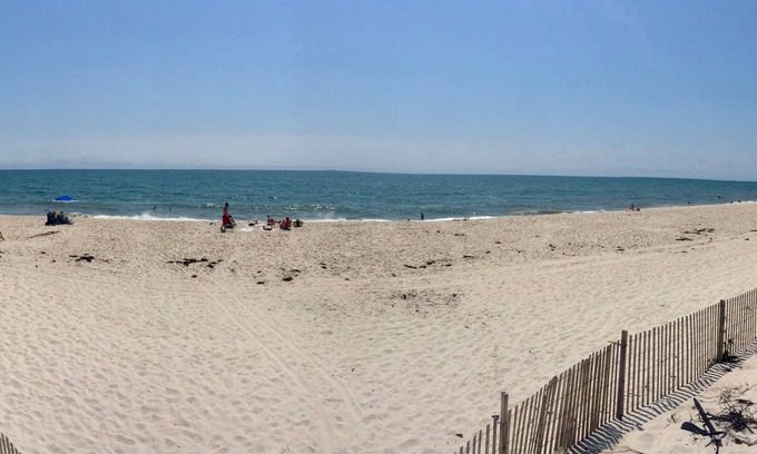 Davis Park House | Treetop beach house with amazing views