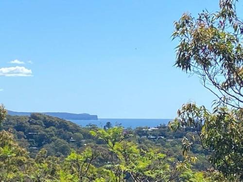 Avalon Beach House | Treetop coastal getaway in Avalon Beach