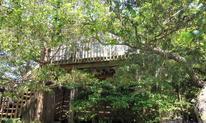 Fair Harbor House | Treetop Oasis in the heart of Fair Harbor, Fire Island