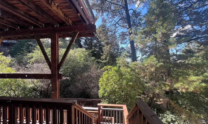 Piedmont Pines Apartment | Treetop Refuge in Oakland Hillsn