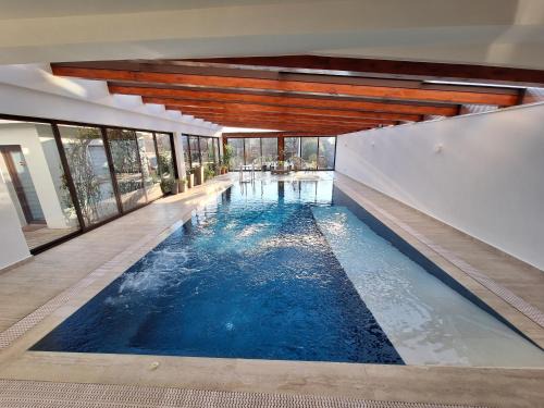 Arad House | TREND - cazare, gradina, piscina