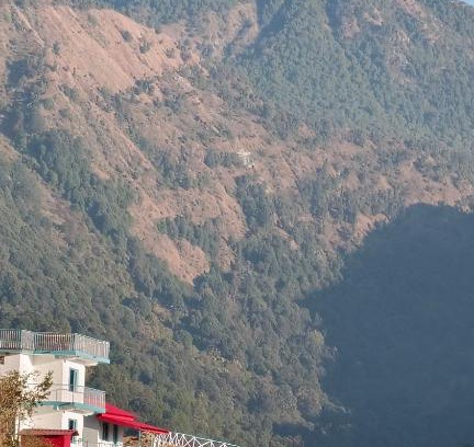 Dharamshala Bed & Breakfast | Triangle Folks Kareri