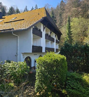 Triberg im Schwarzwald Apartment | Triberg Falls Hideaway - Apartment 35