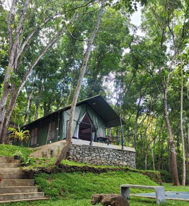 Ruwanwella Other | Trickling Stream Campsite