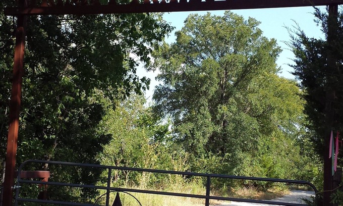 Hillsboro Cabin | Trinity Trails: New,Secluded,Quiet,Small Cabin Short Trail Walk to Lake Aquilla