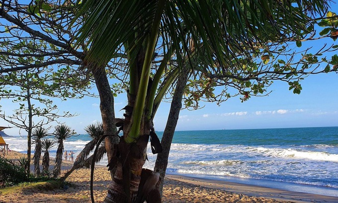 Penha Apartment | Tropical Haven - Nautilus Home Club - Penha - SC