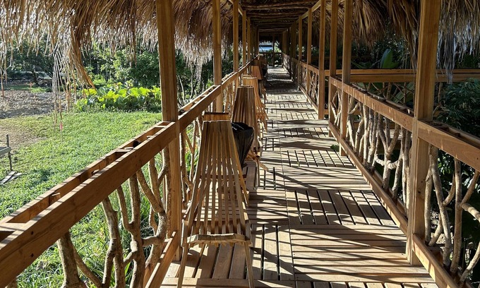 Big Fall Hotel | Tropical Magnolia Resort