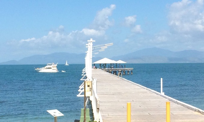 Picnic Bay Hotel | Tropical Palms