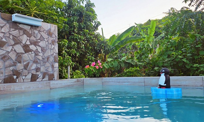 Isabel II Apartment | Tropical Studio with Private Pool & Balcony