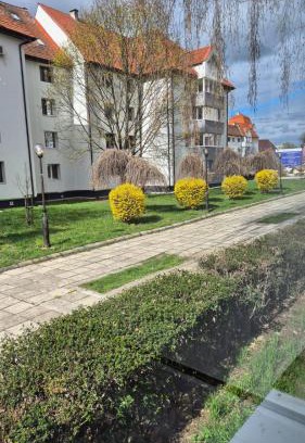 Bistrita Apartment | Tudor Central Apartment