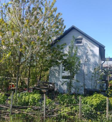 Almere Bed & Breakfast | Tuinhuisje in het groen