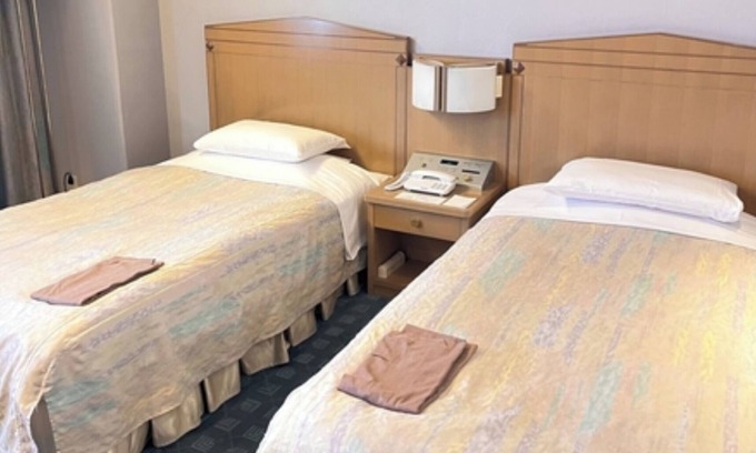 Hanno Hotel | Twin B Nonsmoking room Accommodation only plan /Hanno Saitama