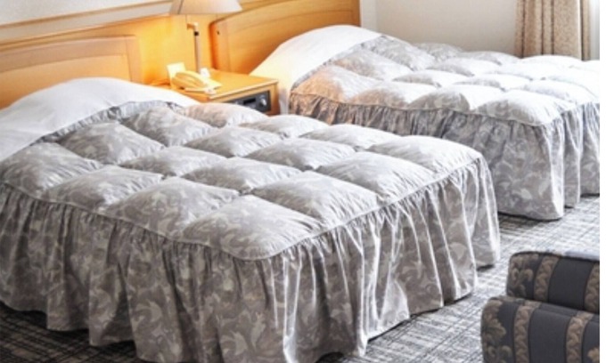 Nakaniikawa-gun Hotel | Twin room in the main building Kaiseki course re/Toyama Toyama