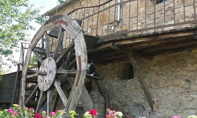Porrena House | Typical farmhouse in Tuscany