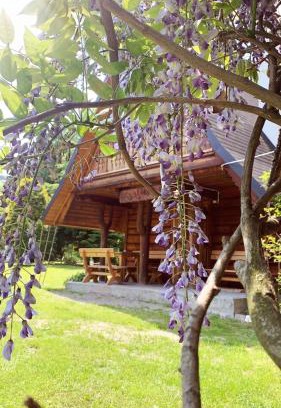 Gorlice Ski Chalet | U Leona
