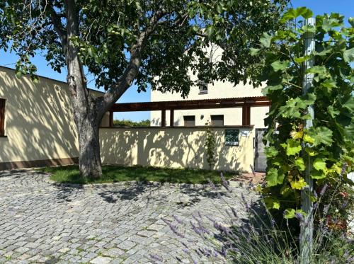 Valtice House | Ubytování Na Vinici