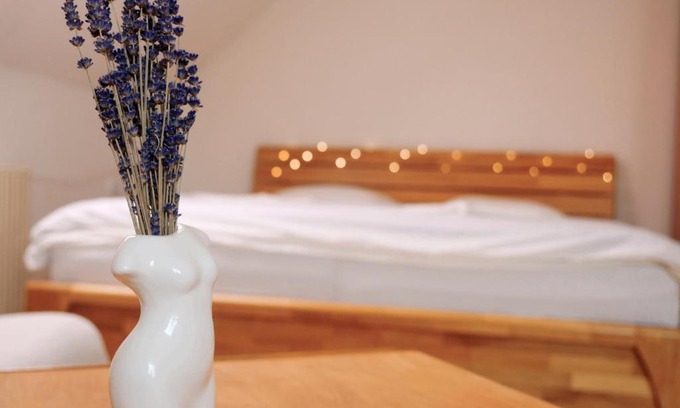 Valtice Apartment | Ubytování u Slunských
