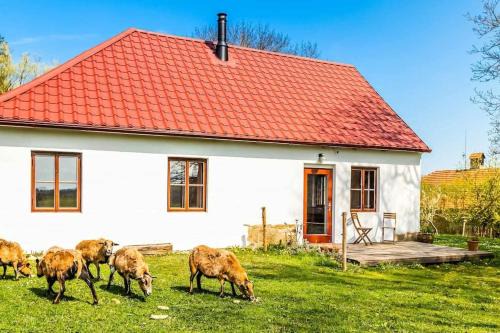 Pridoli House | Ubytování v tichu u Českého Krumlova