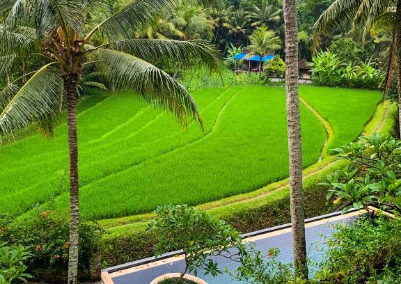 Tabanan Villa | Umasari Rice Terrace Villa by AGATA