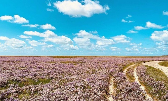 Moyenneville House | Un Cadre Exceptionnel au Cœur de la Baie de Somme !