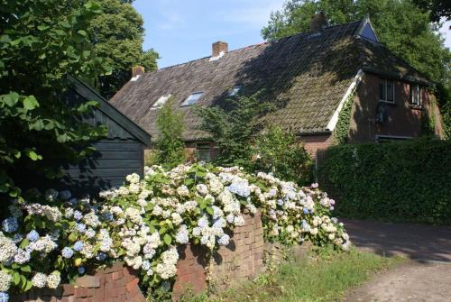 Diever House | Under the Oaks