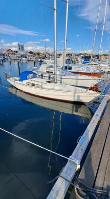 Hoganas Boat Rental | Unique boat 1