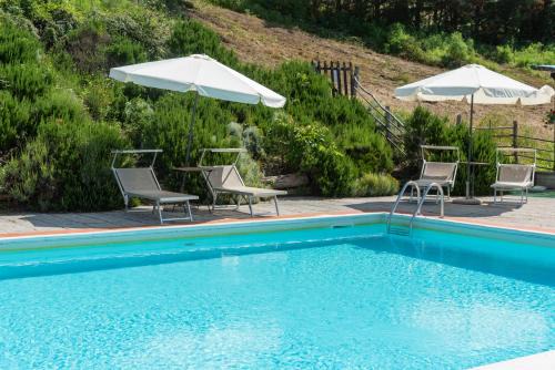 Dicomano House | Universal Harmony - Cardellino