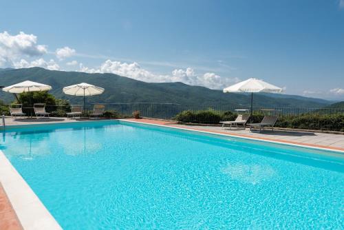 Dicomano House | Universal Harmony - Pettirosso