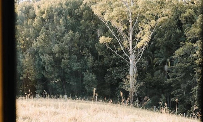 Woombye House | Unplug and unwind in nature. Tiny Home.