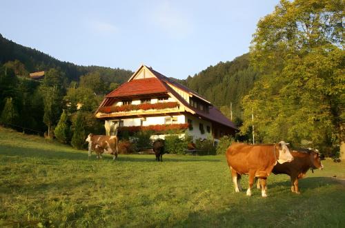 Zell am Harmersbach House | Unterer Gurethshof