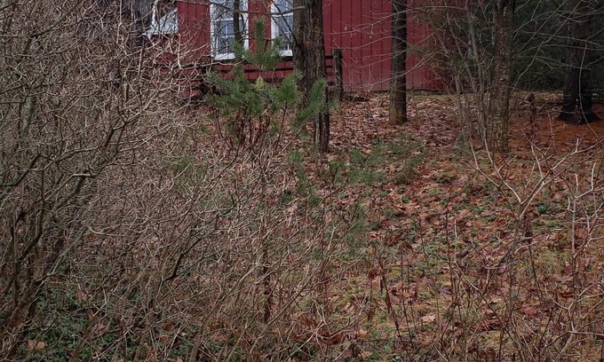 Adjala-Tosorontio Cottage | Up country guest house