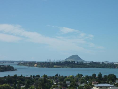 Welcome Bay House | Up in the Stars B&B