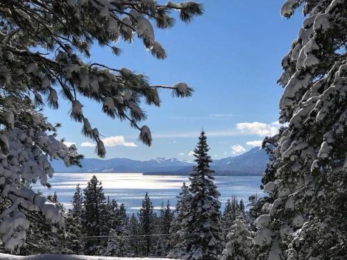 Tahoe Woods Ski Chalet | Updated Cabin near Beach&Ski HotTub Sauna Pets EV