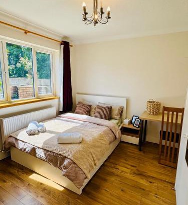 Ongar House | Urban Garden Hideaway