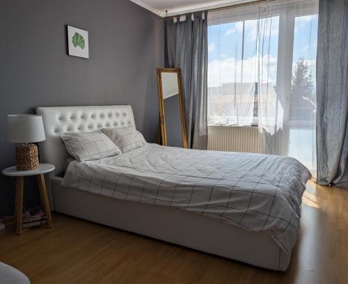Cluj-Napoca Apartment | Urban Haven - Families & Groups - Free Parking