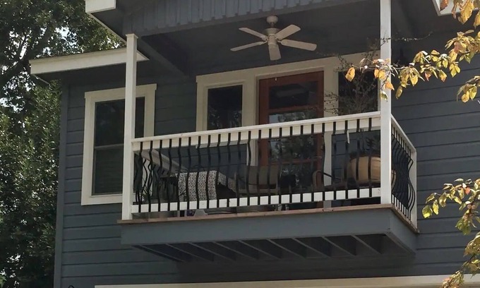 North Loop Apartment | Urban Tree House - University of Texas Area & 5 minutes from Downtown.