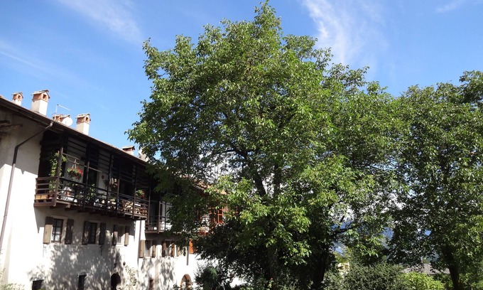 Fiave Apartment | Vacation apartment between Lake Tenno and Terme Comano. CIN: EN022083C233BCYBM2