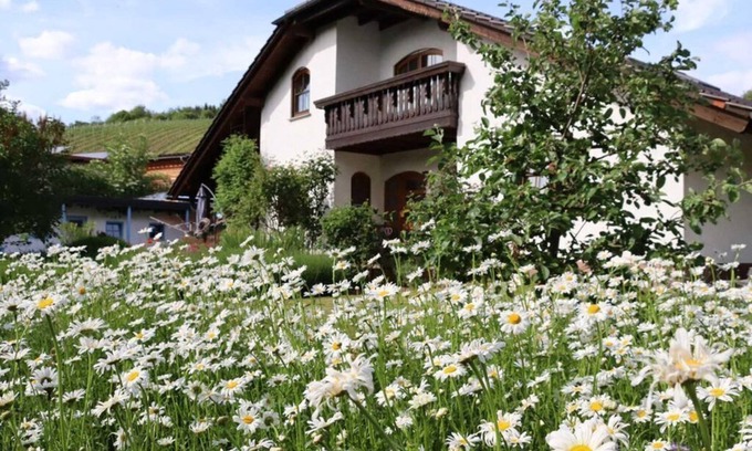 Dorsheim Apartment | Vacation apartment Weinbergsliebe - Wonderful vacation apartment on the vineyard